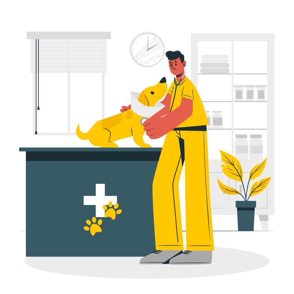 a veterinary taking care of a dog