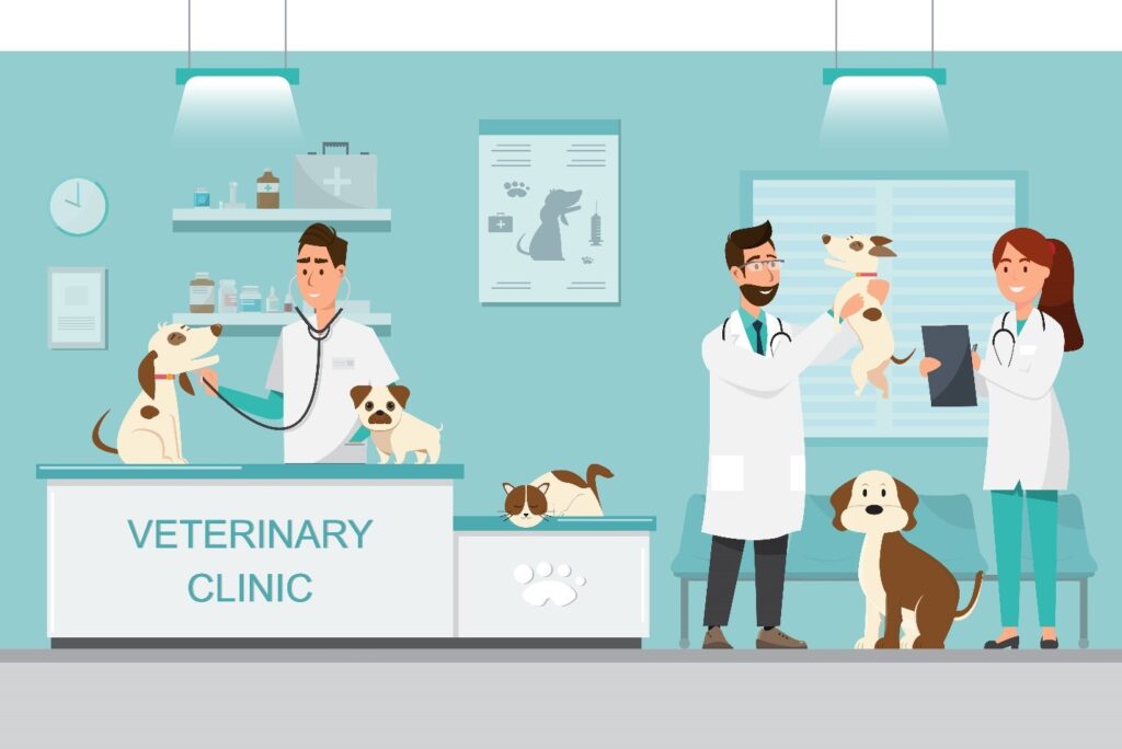 veterinary clinic with veterinarians and pets